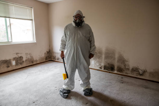 Best HVAC Mold Inspection and Cleaning  in Southfield, MI